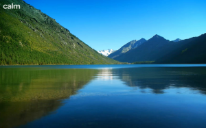 Uno dei temi/landscape del sito