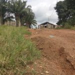 Un particolare della strada per arrivare da Honoré.