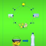 Quando dare da mangiare al bambino?